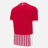 Aalborg BK 2025/26 Adults’ Home Match Jersey
