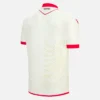 Albania National Team FSHF 2026/27 Adults’ Away Match Jersey Albania National Team FSHF 2026/27 Adults’ Away Match Jersey