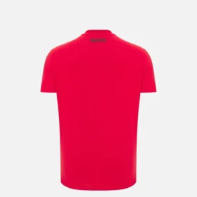 Albania National Team FSHF 2026/27 Junior Sports Red T-Shirt Athleisure
