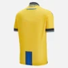 Apoel FC 2025/26 Adults’ Home Match Jersey Apoel FC 2025/26 Adults’ Home Match Jersey