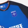 Auxerre 2025/26 Adults’ Third Match Jersey Auxerre 2025/26 Adults’ Third Match Jersey