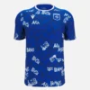 Auxerre 2025/26 Adults’ Warm Up Shirt