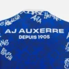 Auxerre 2025/26 Adults’ Warm Up Shirt