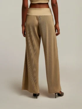 Chirsten Wide pant plisset