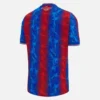 Fa Cup Final Home Shirt Crystal Palace FC