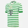 Ferencváros TC 2025/26 Adults’ Home Match Jersey Ferencváros TC 2025/26 Adults’ Home Match Jersey
