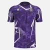 FK Austria Wien 2025/26 Adults’ Warm Up Shirt FK Austria Wien 2025/26 Adults’ Warm Up Shirt