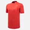 Hannover 96 2025/26 Jersey Special Edition Hannover 96 2025/26 Jersey Special Edition