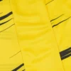 Ludwisburg 2025/26 Adults’ Home Match Jersey Ludwisburg 2025/26 Adults’ Home Match Jersey