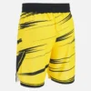 Ludwisburg 2025/26 Adults’ Home Shorts