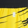 Ludwisburg 2025/26 Adults’ Home Shorts