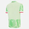 Reading FC 2025/26 Adults’ Third Match Jersey