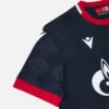 Red Star Belgrade 2025/26 Adults’ Away Match Jersey