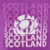 Scottish Rugby 2025/26 Purple Leisure Tee