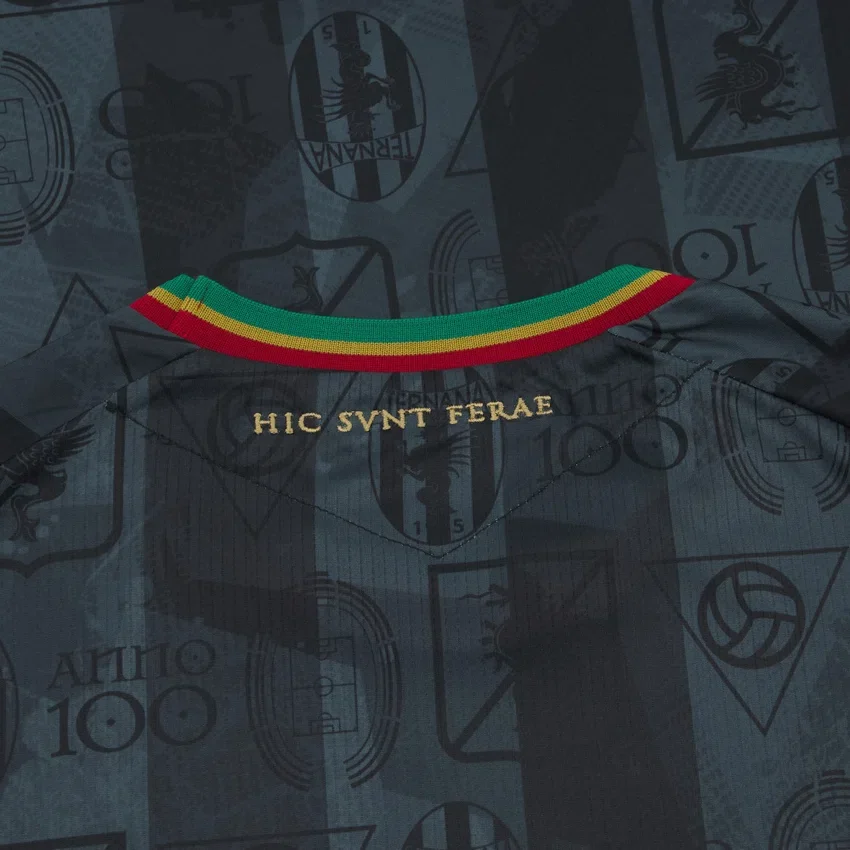 Ternana Calcio 2025/26 Adults’ Away Match Jersey Ternana Calcio 2025/26 Adults’ Away Match Jersey
