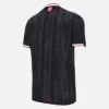 West Bromwich Albion F.C 2025/26 Adults’ Third Match Jersey West Bromwich Albion F.C 2025/26 Adults’ Third Match Jersey